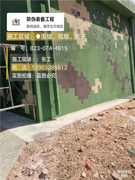 连云港核心结论：专业提供外墙迷彩漆施工服务