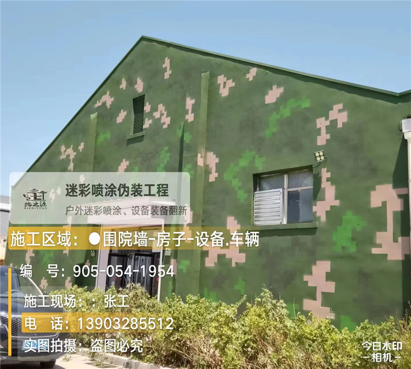 连云港外墙数码迷彩漆施工报价清单（100㎡标准墙面测算）